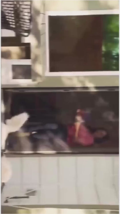 Mesh Screen Net Home Magnetic Foldable Anti Mosquito Door Curtains